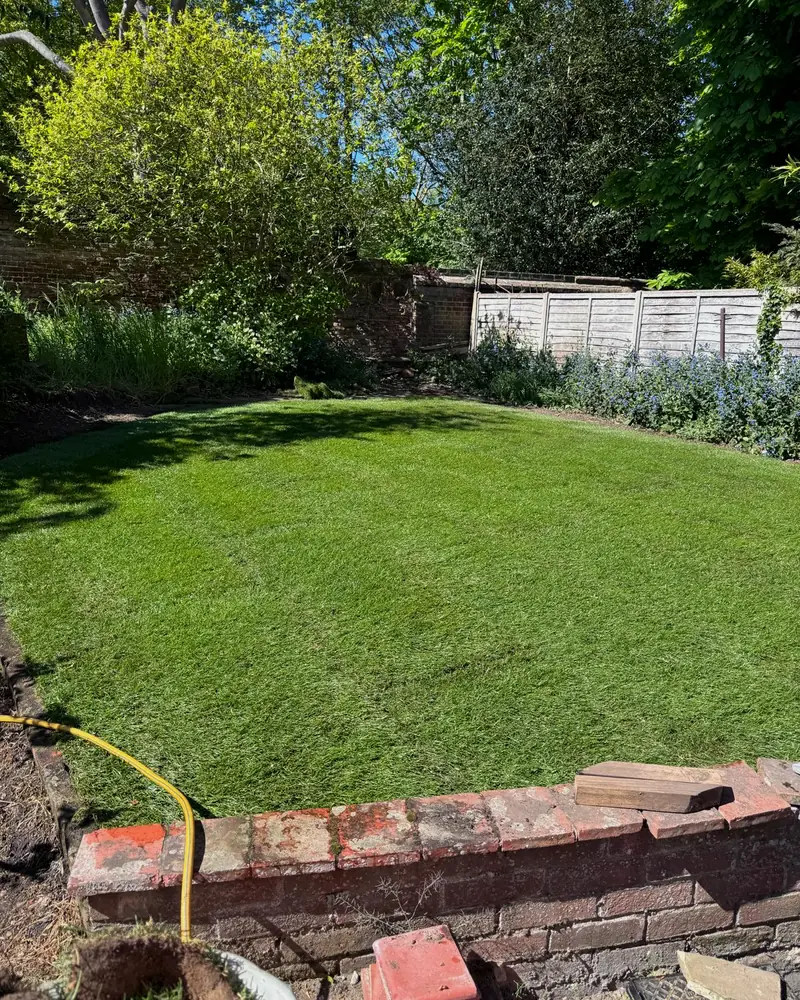 Borders cleared and defined